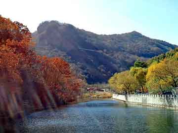 拱玫村委会发展规划揭秘，塑造未来乡村繁荣新蓝图